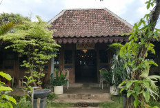 Griya Sarinah, Kafe Desa yang Menolak Sekat Kelas