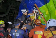 Truk Oleng Tabrak Tabrak Pohon di Mojokerto, Kernet Terjepit 