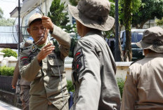 Pemkab Jember Tertibkan Jaringan Kabel Optik Internet Ilegal