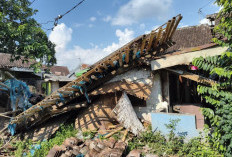 Diterjang Angin Kencang, 3 Rumah di 3 Kecamatan Jember Rusak, Satu Rata dengan Tanah, Warga Mengungsi