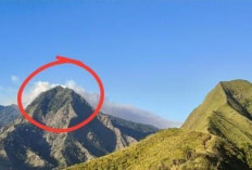 Api Masih Berkobar di Gunung Biru Mojokerto, Medan Terjal Jadi Kendala Utama Pemadaman