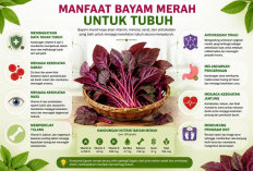 Bukan Sekadar Berwarna Cantik, Bayam Merah Simpan Segudang Manfaat bagi Kesehatan