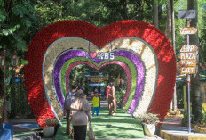 Libur Lebaran 2026, Kebun Binatang Surabaya Kebanjiran 40 Ribu Pengunjung