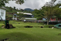 Taman Kelinci Padusan Park Pacet Mojokerto, Rekreasi Alam sekaligus Wisata Edukatif 