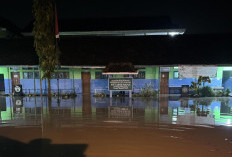 Banjir Luapan Rendam Dua Desa di Kemlagi Mojokerto, 50 Rumah Warga dan Puluhan Hektare Sawah Terdampak