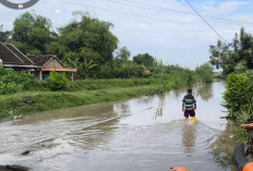 Banjir Akibat Luapan dan Jebolnya Tanggul Sungai Sadar Mojokerto Belum Surut Hingga H+1 Lebaran,