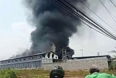 Pabrik Sepatu di Dlanggu Mojokerto Terbakar, 6 Unit PMK 1 Water Cannon Dikerahkan untuk Pemadaman