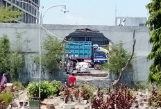 Sopir Dump Truk Tewas Usai Tabrak Pagar Pabrik di Jetis Mojokerto