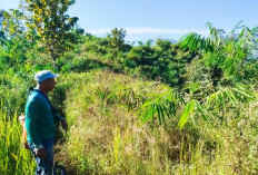 Mbah Radi, Mewujudkan Bambu Panen Lestari, Hasilkan 3,8 ton Rebung per Hektar  