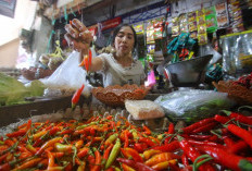 Harga Cabai Rawit di Mojokerto Tembus Rp70 Ribu, Pembeli Kini Cuma Berani Beli Setengah Ons