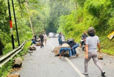 Diguyur Hujan Deras, Longsor di Jalan Penghubung Pacet - Trawas Bawa Material Bongkahan Batu