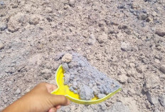 Temuan Limbah B3 Slag Kertas di Trowulan Mojokerto Diduga Berasal dari Gresik