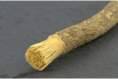 Inilah Keutamaan Ber'Siwak' yang Belum Banyak Diketahui