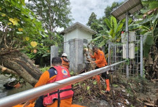 Early Warning System (EWS) Banjir di Jombang yang Rusak Langsung Diperbaiki BPBD Jatim