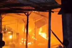 Kebakaran Hanguskan Kandang Ayam di Jatirejo Mojokerto, Ribuan Ekor Anak Ayam Terpanggang