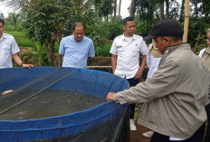Tinjau Kolam Bioflok, DKPPP Jember Pastikan Program Satu Kolam Satu Keluarga Lancar