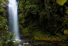 7 Air Terjun Ramah Keluarga di Jawa Timur, Destinasi Healing Usai Ramadan