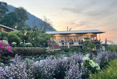 Kafe Escalla Flora, Suguhkan Kuliner Lezat dan Pemandangan Alam Mempesona