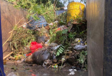 Hari Lingkungan Hidup Sedunia, Pakar Unair Ingatkan Ancaman Sampah dan Perubahan Iklim
