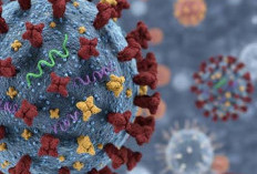 Cegah Influenza A pada Anak, Pakar UNAIR Tekankan Kebersihan dan Vaksinasi