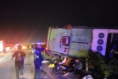 Bus Restu Terguling di Tol Jombang-Mojokerto, Satu Tewas dan 11 Luka - luka