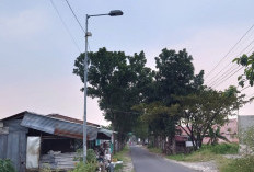 Pemkab Mojokerto Siapkan 2.020 Bohlam untuk Ganti Lampu PJU Mati 