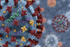 Super Flu (Influenza A(H3N2) subclade K) di Indonesia Masih Terkendali, Tak Ada Peningkatan Keparahan 