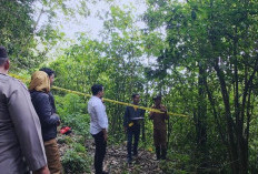 Identitas Bayi dalam Tas Ditemukan di Hutan Tahura Pacet Mojokerto Terungkap