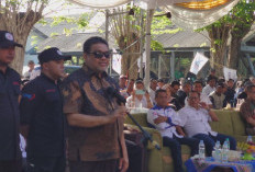 Nasib 2.500 Karyawan Belum Ada Kejelasan, Penasihat Khusus Presiden RI Janji Selesaikan Polemik PT Pakerin 