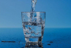 Seberapa Penting Minum Air Putih bagi Kesehatan Tubuh? Ini Dia Penjelasannya