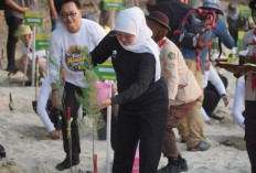 Luas Mangrove Jawa Timur Tembus 31 Ribu Hektare, Terbesar di Pulau Jawa