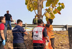 Pria 57 Tahun Ditemukan Meninggal di Sisi Tol Jombang-Mojokerto