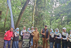 Jaga Mata Air, Puluhan Pohon Ditanam di Area Sumber Jubel Pacet Mojokerto