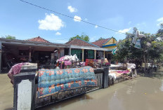Banjir di Mojokerto Mulai Surut, Warga Bersihkan Rumah dan Siaga Hadapi Banjir Susulan