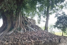 Candi Deres Resmi Jadi Cagar Budaya, Jember Perkuat Perlindungan 5 Peninggalan Sejarah