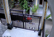 Pencurian Motor Honda Vario Terekam CCTV di Mojokerto, Kerugian Capai Rp 16 Juta