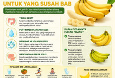 Sering Susah BAB? Pisang Bisa Jadi Solusi Alami, Ini Penjelasan Ahli Gizi