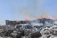 Kebakaran Landa Area Bahan Baku PT Mega Surya Eratama di Ngoro Mojokerto 