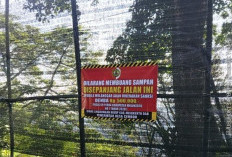 Sampah Menahun di Jurang Gembolo Mulai Dibersihkan, Petugas Turun Tebing Demi Selamatkan Kawasan Hutan
