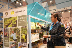 UMKM Herbal di Persimpangan Digital, Bertahan atau Tertinggal? Ini Temuan Riset Terbaru