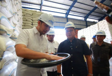 BULOG Jatim Lampaui Target Serap Gabah, Tembus 884 Ribu Ton Setara Beras