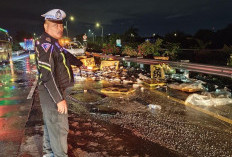 Pecah Ban, Pikap Bermuatan Ikan Alami Kecelakaan Lalu Lintas di Tol Jombang - Mojokerto