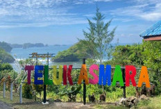 Pantai Teluk Asmara, Sepotong Raja Ampat di Pesisir Selatan Malang yang Layak Masuk Daftar Liburan Anda