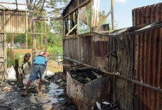 Kafe Kosong Dua Pekan di Pacet Mojokerto Terbakar, Kerugian Ditaksir Rp30 Juta