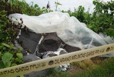 105 Ton Limbah B3 di Pungging Mojokerto Akan Dibersihkan Sebelum Akhir Tahun