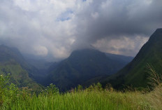 Bukit Cendono di Mojokerto Kembali Dibuka untuk Pendaki Usai Kebakaran Gunung Biru Padam