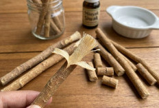 Inovasi Pasta Gigi BHA dan Siwak, Harapan Baru Tanpa Fluorida untuk Gigi Lebih Sehat