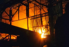 Kandang Ternak Ayam di  Ngoro Mojokerto Terbakar, Dua Unit PMK Dikerahkan