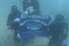 Dua Bulan Direstorasi, Terumbu Karang Banyuwangi Mulai Hidup Kembali, Ikan Berdatangan