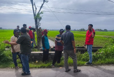Banjir Rendam Ratusan Hektare Sawah, Ama Siswanto Dorong Kaji Ulang Pendirian Pabrik